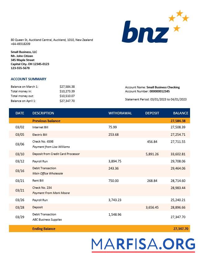 Blank BNZ Bank organization account statement Word and PDF template